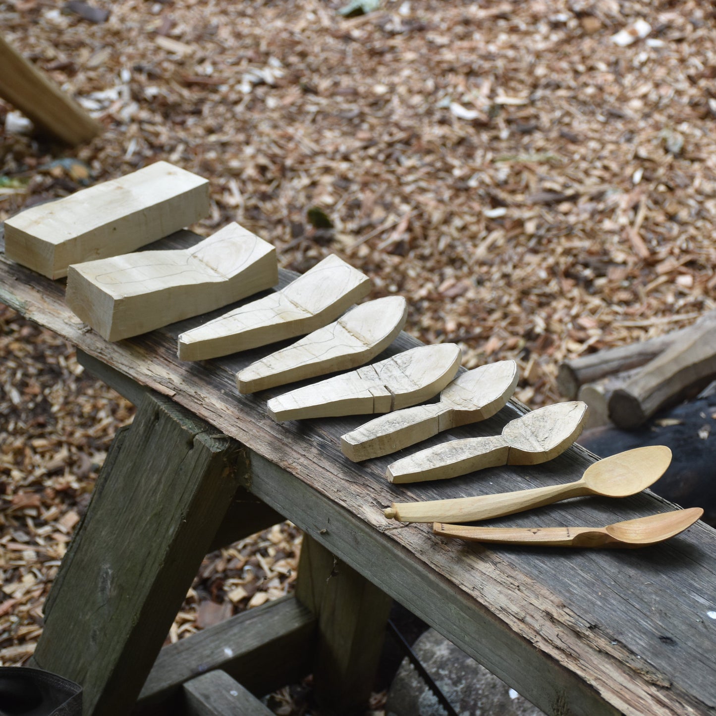 Introduction to Spoon Carving (Level 1) Workshop - 12.05.24 (AM)
