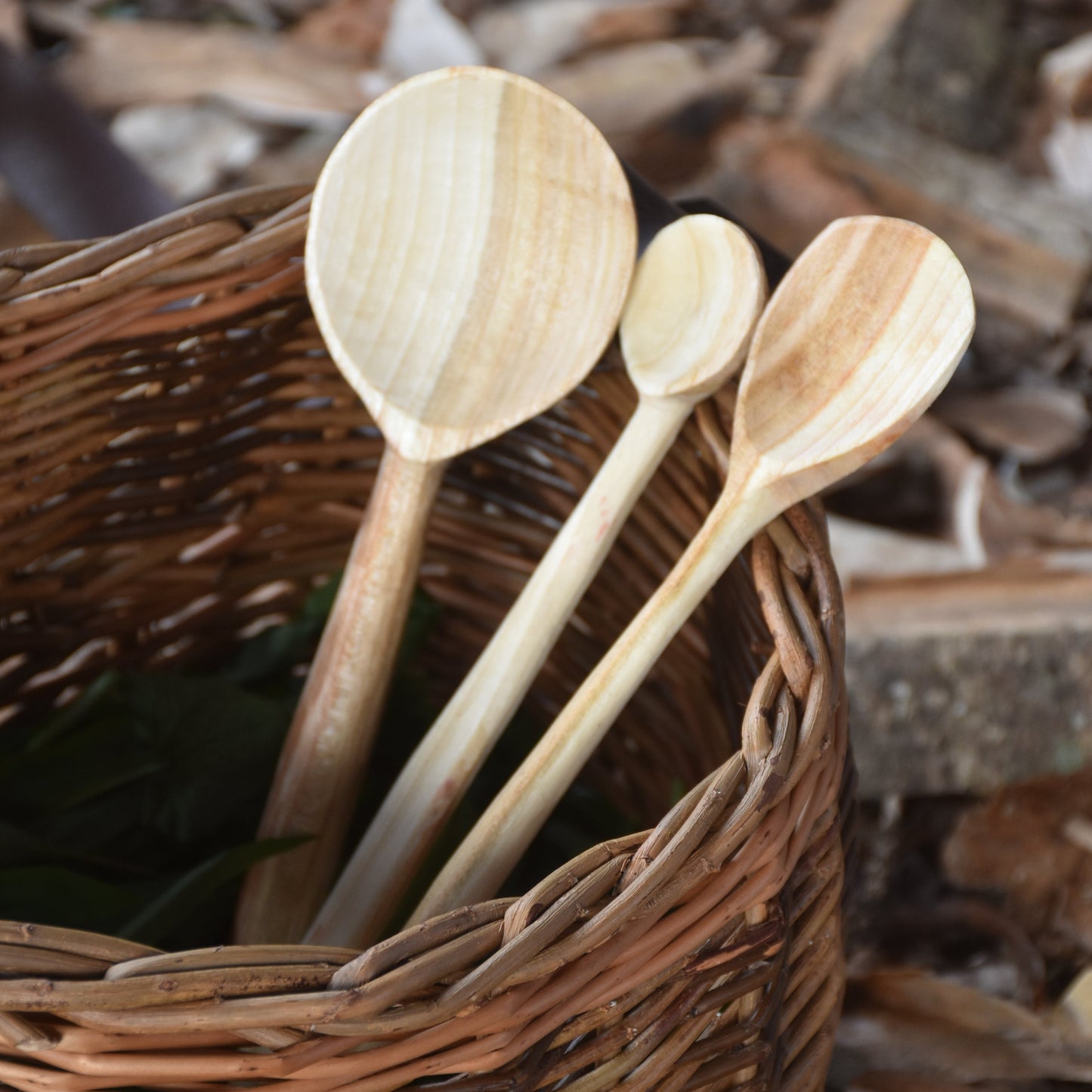 Spoon Carving Workshop (Level 2) - 30.06.24
