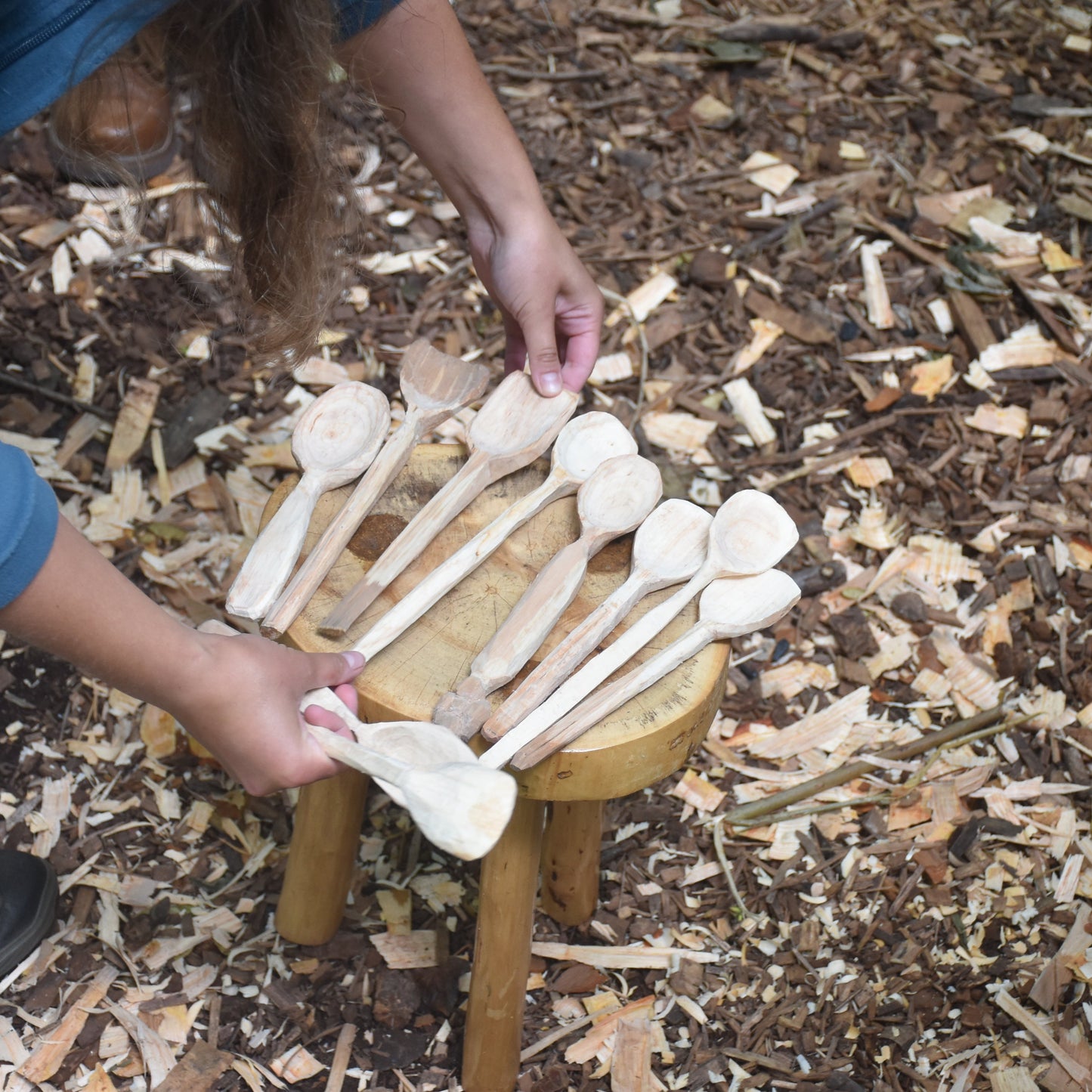 Carve a Cooking Spoon Workshop ~ 20.09.2026 (AM)