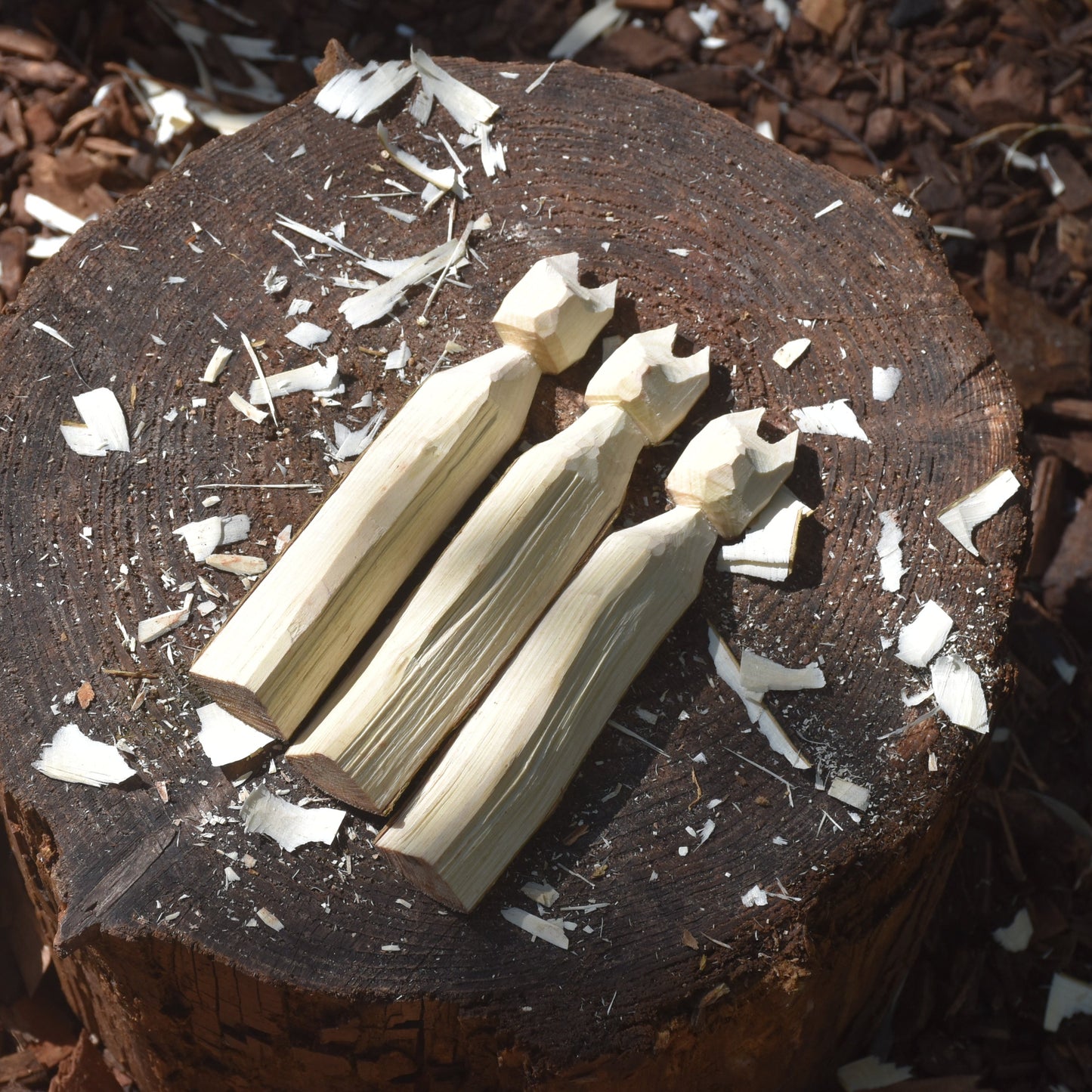 Whittling Woodland Creatures Workshop - 14.07.24 (PM)