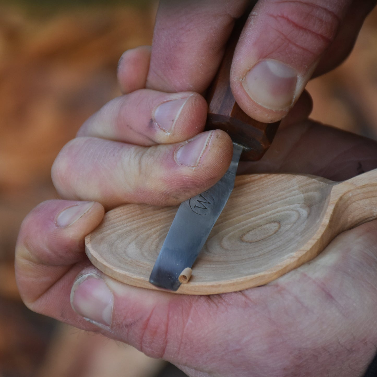 Swedish Slöjd Spoon Carving ~ 01.05.26 (AM)