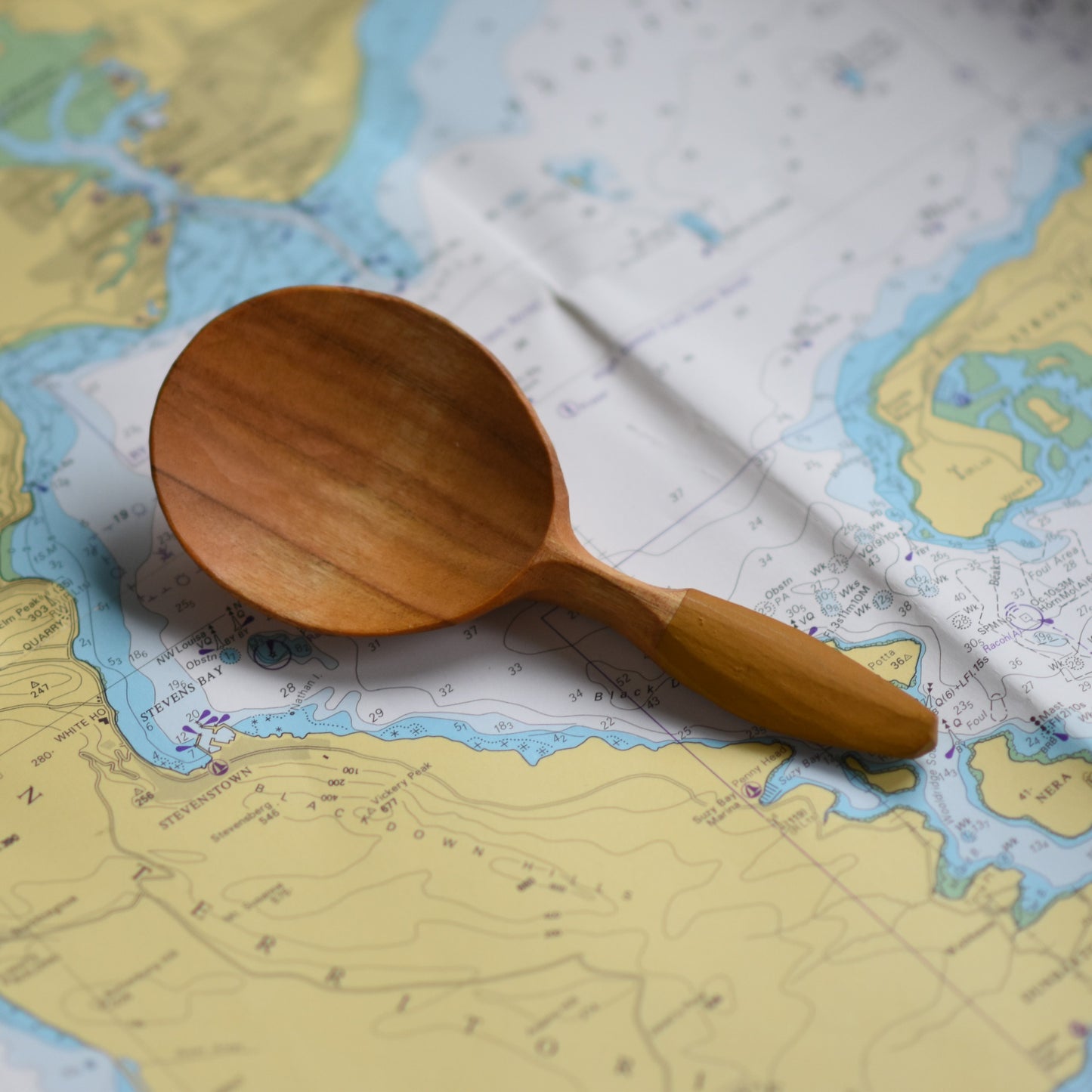 Carve an Eating Spoon Workshop ~ 10.05.26 (PM)