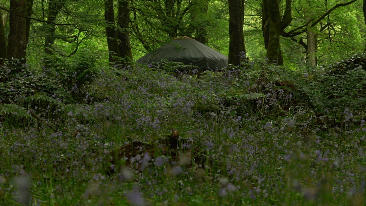 The Wild Circle 2 Day Spoon Carving Retreat - 23.04.2022