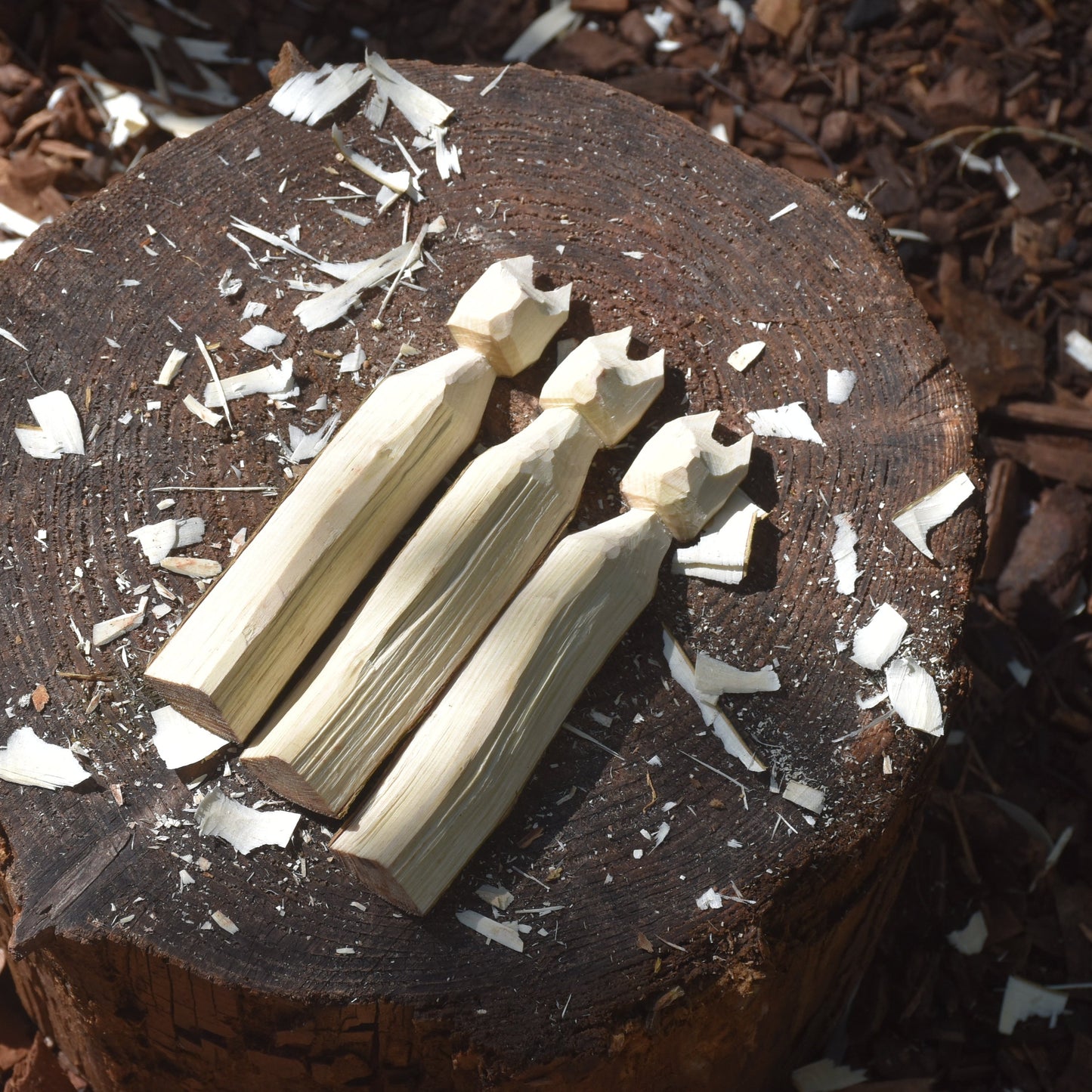 Whittling Wands Wizards & Totems Workshop - 14.07.24 (AM)