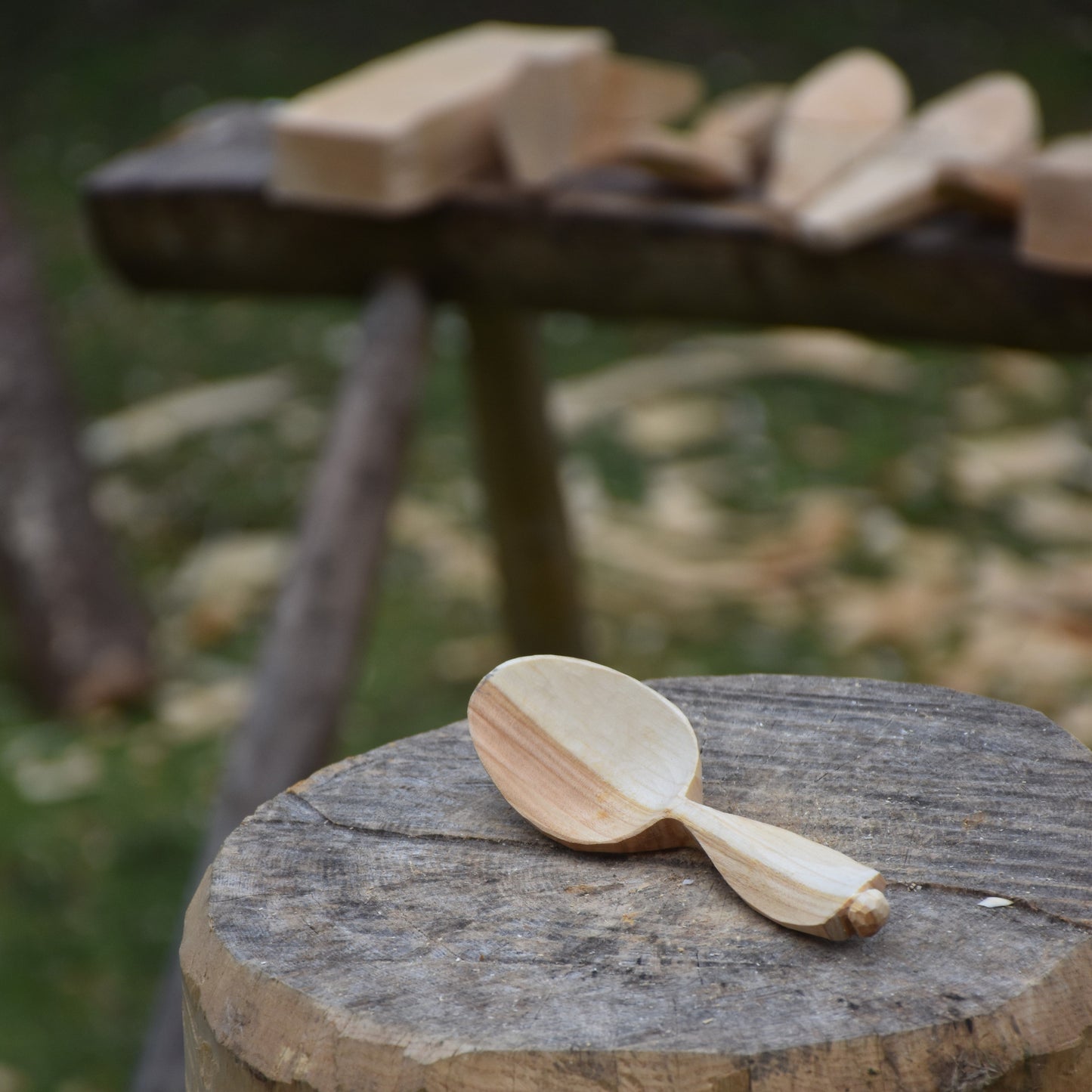 Introduction to Spoon Carving (Level 1) Workshop - 12.05.24 (AM)