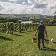 Special! Carve a Cooking Spoon Experience @Sandridge Barton ~ 9.10.26